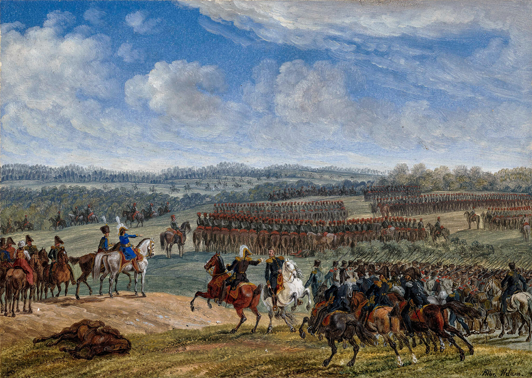 Adam - Ostrovno